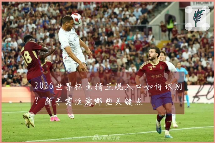 2026世界杯竞猜正规入口如何识别？新手需注意哪些关键点