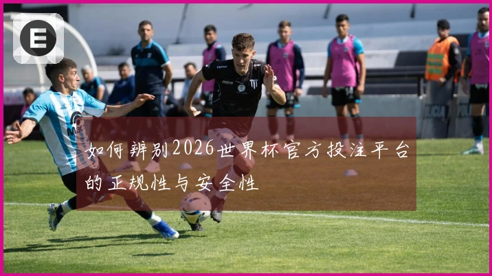 如何辨别2026世界杯官方投注平台的正规性与安全性