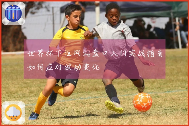 世界杯下注网站盘口入门实战指南如何应对波动变化