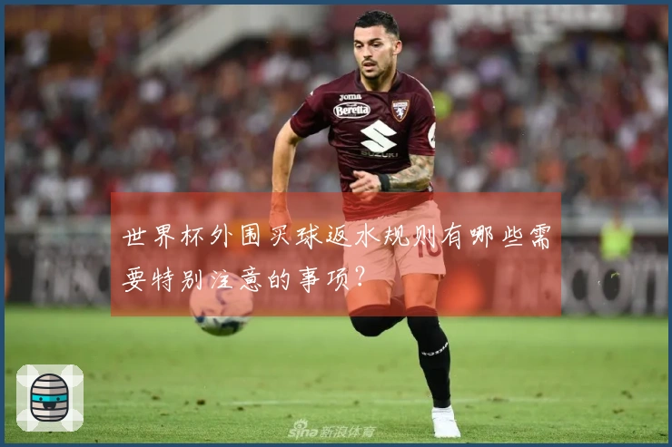 世界杯外围买球返水规则有哪些需要特别注意的事项？
