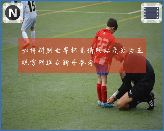 如何辨别世界杯竞猜网站是否为正规官网适合新手参考